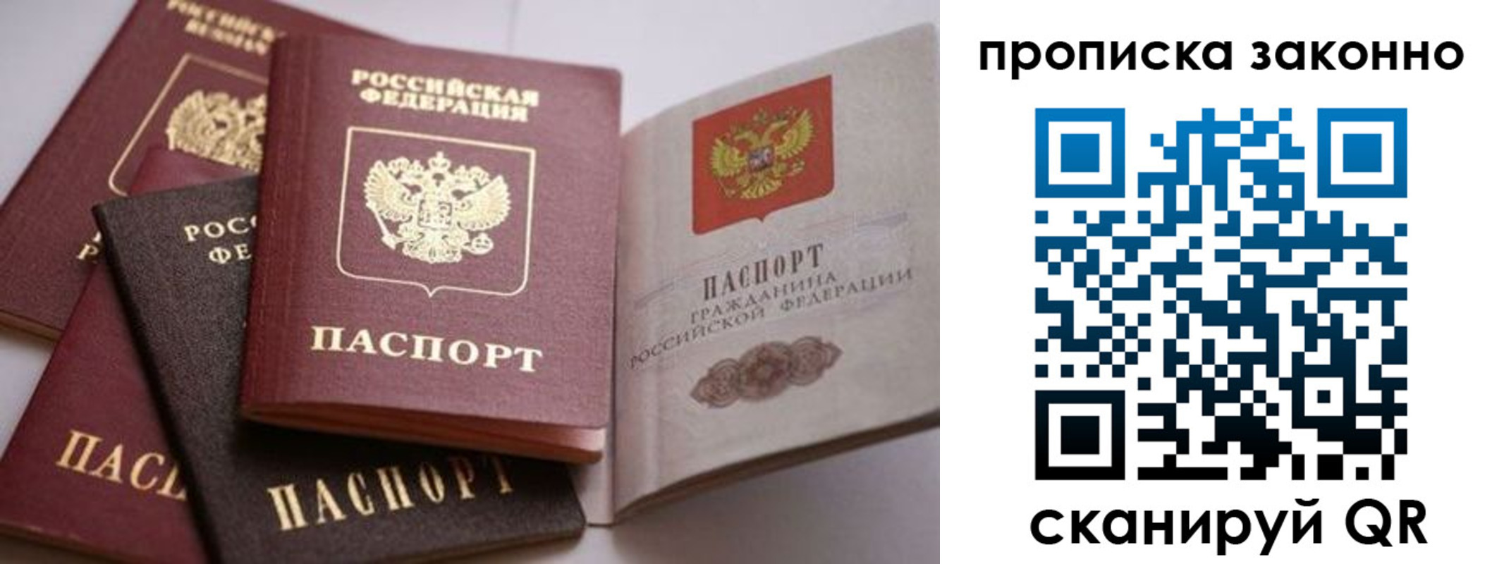 прописка 2025 в Волоколамске